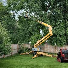 Best Leaf Removal  in Trophy Clu, TX