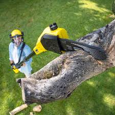 Best Lawn Maintenance Plans  in Trophy Clu, TX